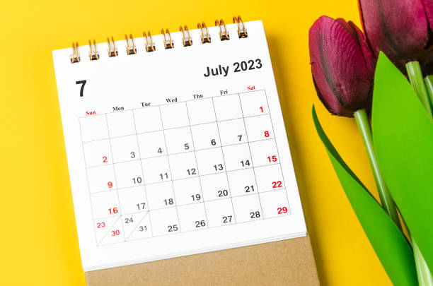 The July 2023 Monthly desk calendar for 2023 year and red tulip on yellow background. stock photo