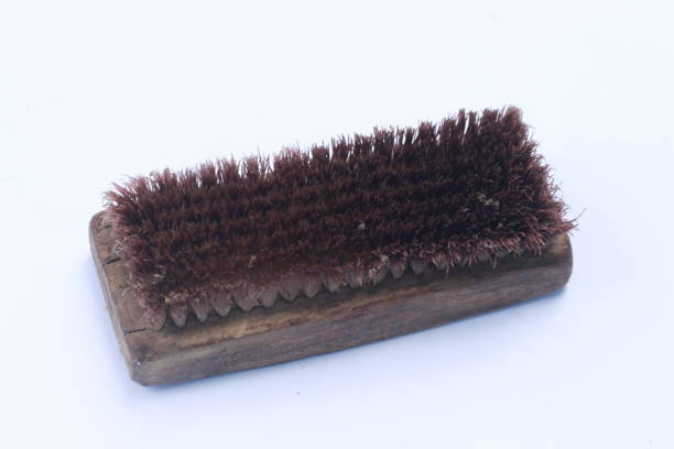 shoe cleaning brush isolated white background