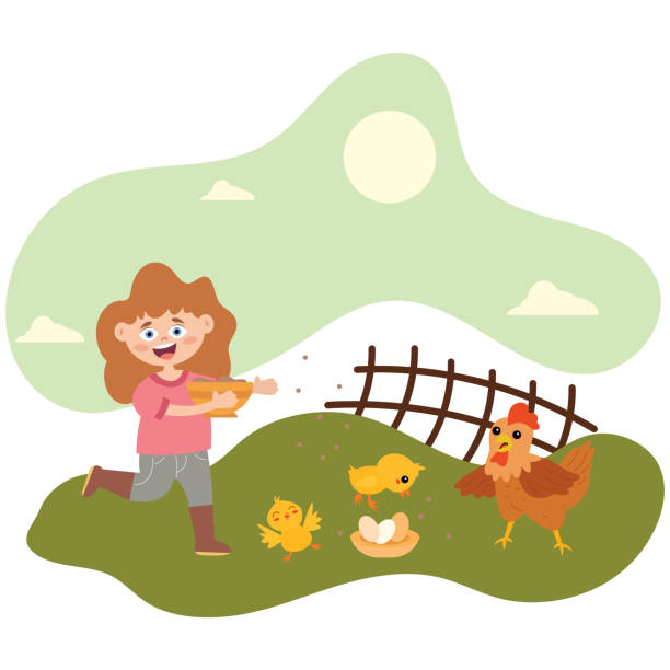 ilustraciones, imágenes clip art, dibujos animados e iconos de stock de cartoon kid feeding chicken and chicks.flat ilustración vectorial. - chicken young bird animal egg baby chicken