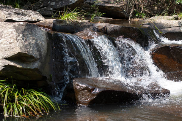 istock Stream and Brides Pool Waterfall in Hong Kong. 1501137832