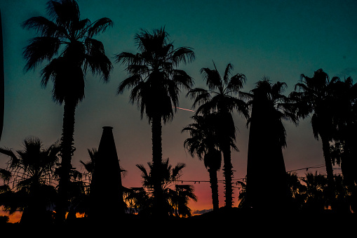 Palms coastline at dusk with a dramatic sky