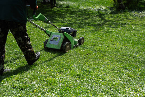 istock Communal services gardener worker man using lawn mower for grass cutting in city park. 1501140286