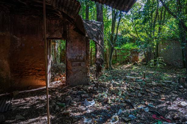istock Derelict structure situated in a wooded area surrounded by debris. 1501140737