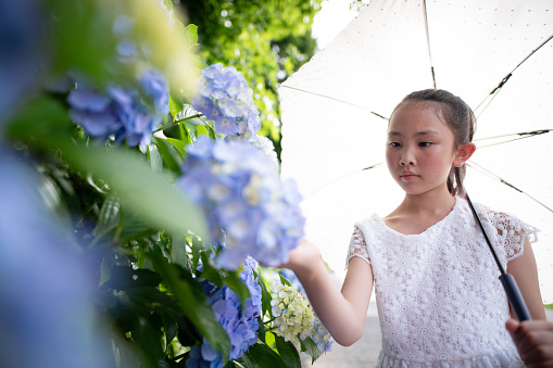 Girl looking at hydrangea flowers