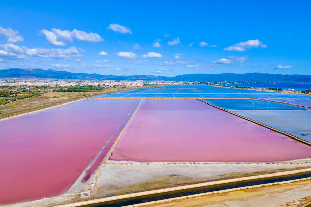 istock Molentargius - Saline Regional Park in Cagliari (Sardinia, Italy) 1501146279