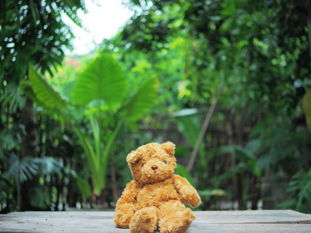 bear doll in green bokeh background