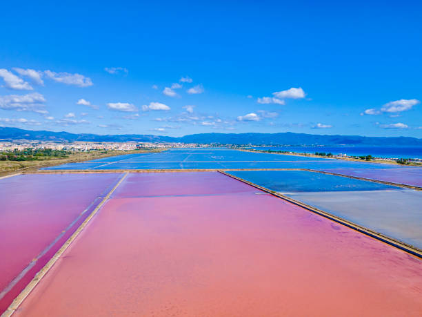 istock Molentargius - Saline Regional Park in Cagliari (Sardinia, Italy) 1501146342