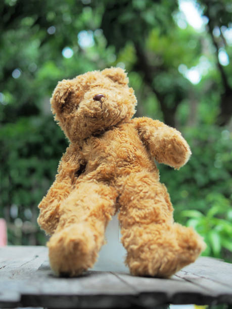istock teddy bear brawn in home garden 1501146387