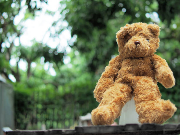 istock teddy bear brawn in home garden 1501146388