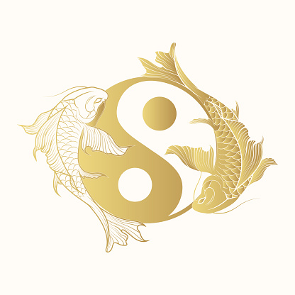 Yin yang koi fish,  symbol of harmony and balance. Golden japanese art for t-shirt, print and stickers. Hand drawn vector illustration isolated on white background.