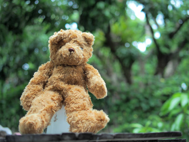 istock teddy bear brawn in home garden 1501146557
