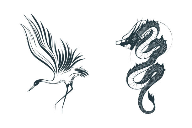 ilustraciones, imágenes clip art, dibujos animados e iconos de stock de grulla y dragón. dos ilustraciones vectoriales japonesas dibujadas a mano aisladas en blanco para tarjeta de felicitación, tatuaje y póster. - traditional culture heron bird animal