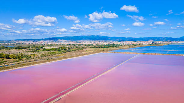 istock Molentargius - Saline Regional Park in Cagliari (Sardinia, Italy) 1501146924