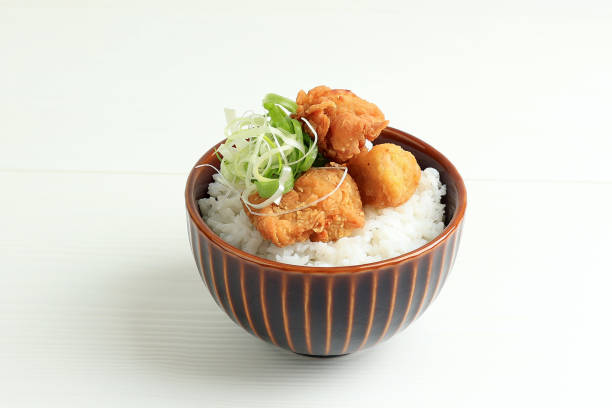 Rice Bowl with Tori Karage stock photo