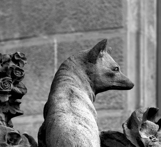 Shot in black and white detail on the facade of this historic building representing some character, animal or flower