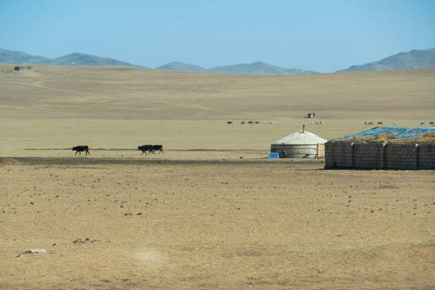 istock Small town on the highway road in Central Mongolia 1501149788