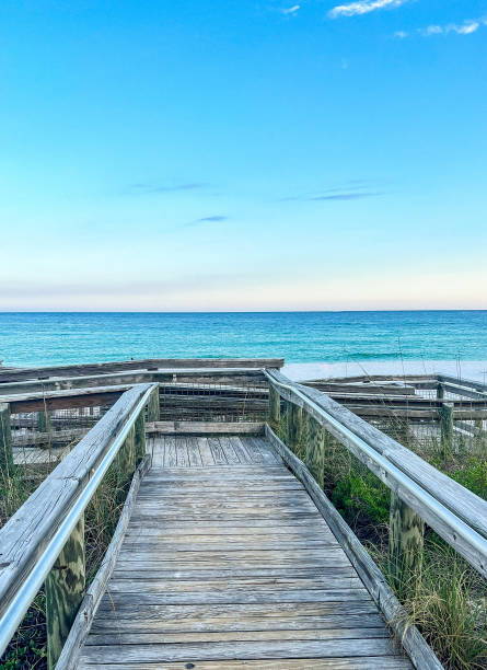 istock Boardwalk to the beach 1501153963