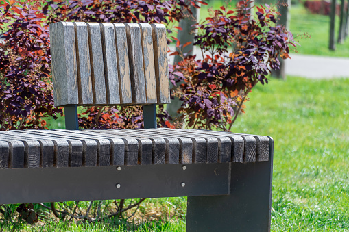 Comfortable in metal and wooden material bench in city park. Design of black and brown stationary seat for leisure. Geometry on nature and place to rest. Exterior empty park bench. Furniture in garden.