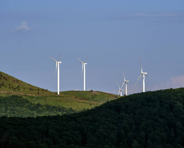 istock Large wind farm in the mountains 1501161187