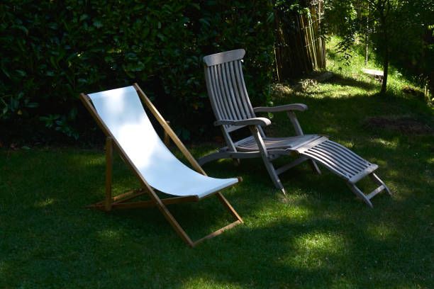 istock Sun loungers in the shade 1501165984