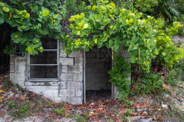 istock Abandoned cement block shelter 1501166898