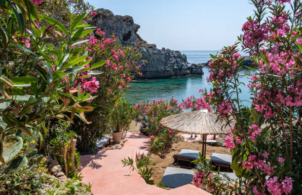 St. Paul's Beach Framed by Pink Oleander Bushes