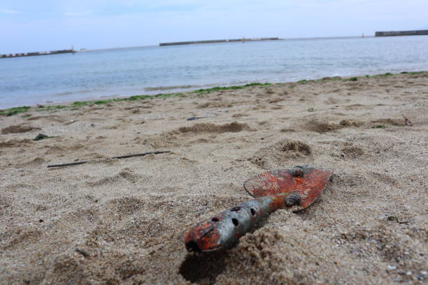 istock A shovel, shell, beautiful waves with sand and a beautiful mountain background suma beach kobe japan 1501168834