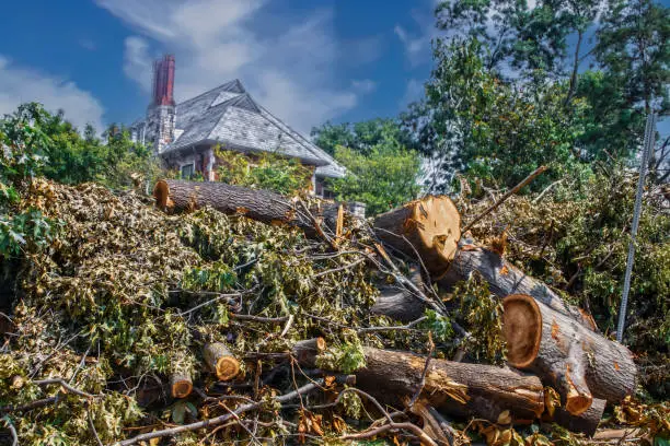 Photo of Huge pile of storm debris with cut trees with multi-story home visible behind - supercell - Tulsa