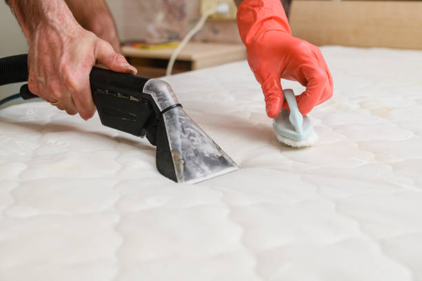 czyszczenie materaca za pomocą odkurzacza piorącego. - mattress cleaning vacuum cleaner housework zdjęcia i obrazy z banku zdjęć
