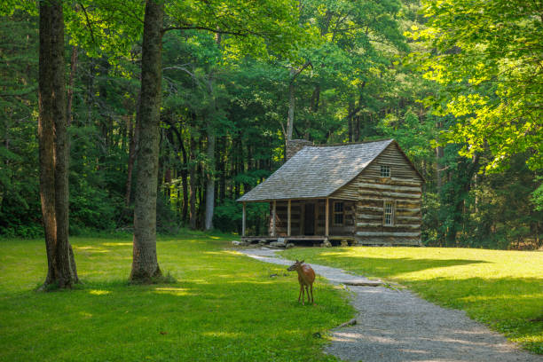 Sunny Day at Rustic Wooden Cabin Overlooking Lush Forest and Majestic Smoky Mountains in Gatlinburg, Tennessee, 2015