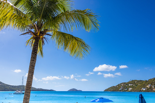 Caribbean island with beach front view and palm tree