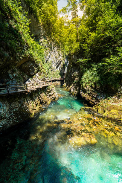 istock Nature's Wonderland: Exploring Vintgar Gorge's Suspended Path, Turquoise Waters, and Sunlit Serenity 1501181124