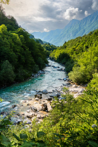 istock Radiant Serenity: Sunlit Wonders of Soca Valley's Turquoise River 1501181149