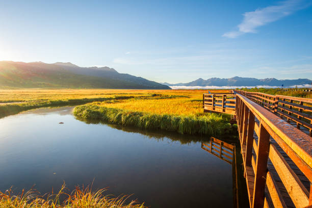 istock Potter Marsh Bird Sanctuary, Alaska. 1501188737