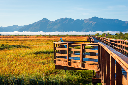 A wooden boardwalk in Potter Marsh Bird Sanctuary, Alaska.