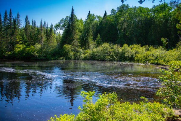 istock View of a large wild river 1501194079