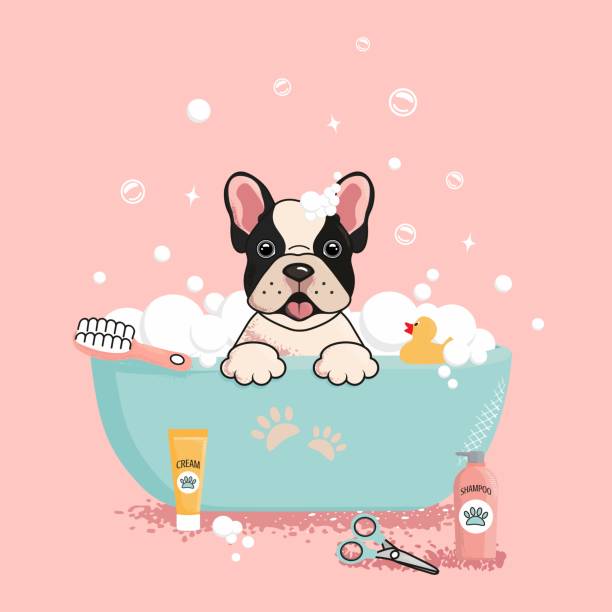 ilustraciones, imágenes clip art, dibujos animados e iconos de stock de lindo perro en el baño de burbujas. el concepto de salón de aseo. ilustración vectorial en estilo de dibujos animados. - grooming dog pets brushing