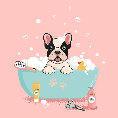 Cute dog in the bubble bath. The concept of grooming salon. Vector illustration in cartoon style.