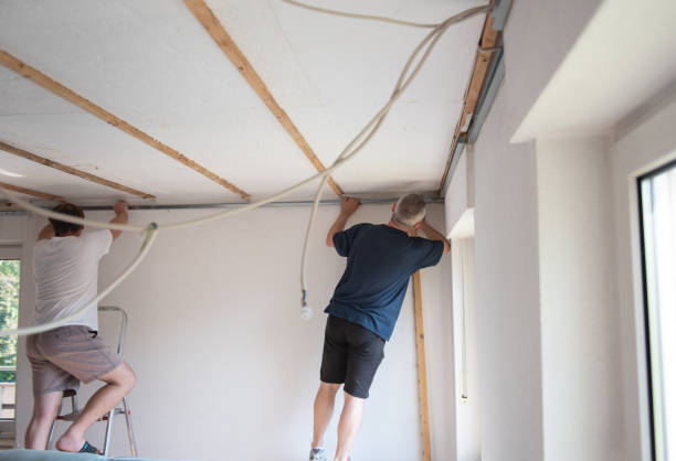 istock two craftsmen renovate an apartment 1501194346