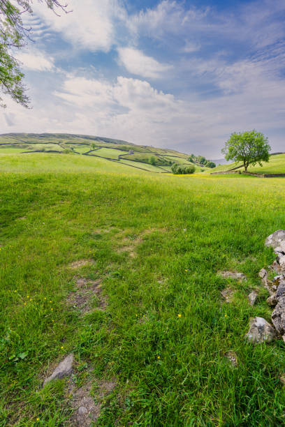 istock Swaledale scenery, Yorkshire Dales National Park 1501201110