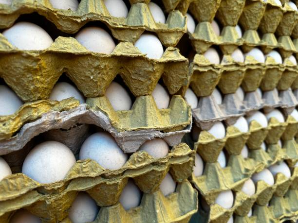 istock Eggs Stacked in a Cardboard Egg Container. Healthy Nutrition. 1501202832