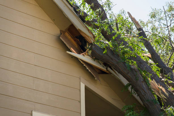 On June 23, 2023, near Broadway and Highway C-470 in Highlands Ranch, Colorado, damage remains from an F-1 tornado where high winds toppled trees, pounded homes, vehicles and property after a violent thunderstorm passed the day before on June 22. A fallen tree remains smashed into the side of a home.