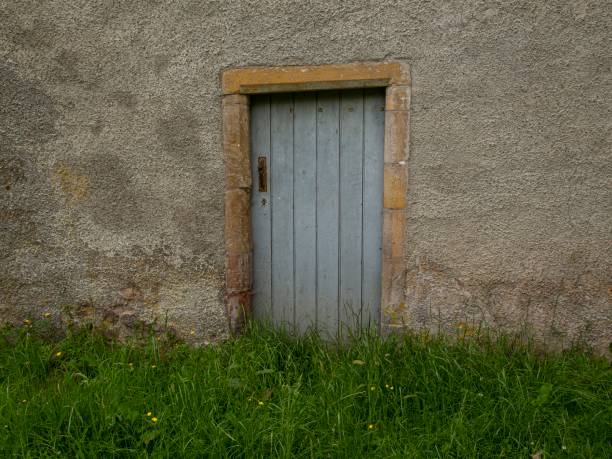 istock Old Door & Buttercups. 1501210484