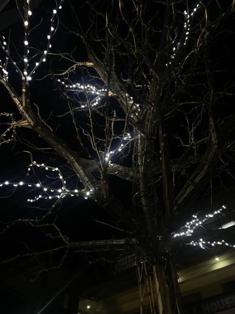 istock Bringing new life to a dying tree 1501221405