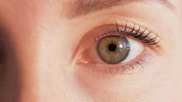 istock Eye closeup iris examination woman face sight look 1501242095
