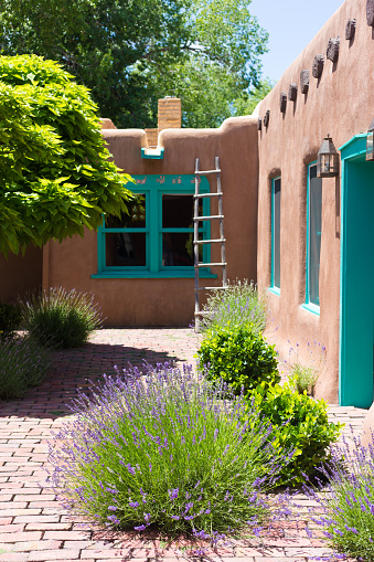 Santa Fe, NM: Old Adobe House Courtyard with Lavender. House dates from the 1800s.