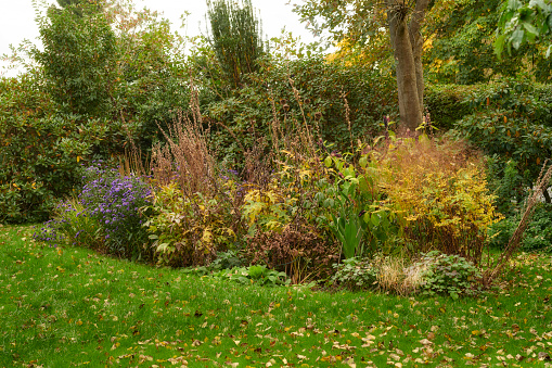 A photo of the garden in summertime