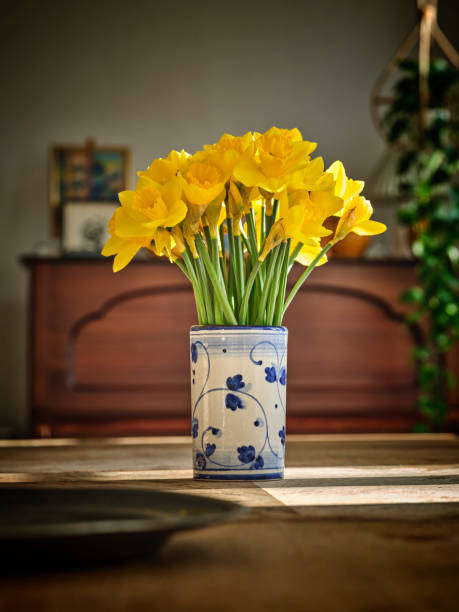 istock A bouquet of Daffodils 1501247480