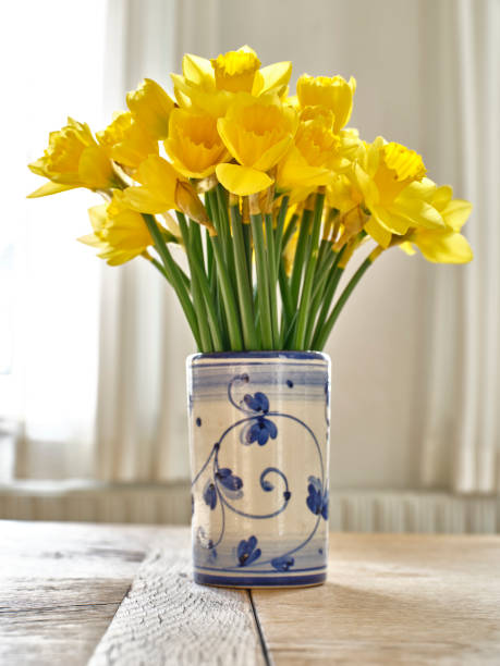 istock A bouquet of Daffodils 1501247494