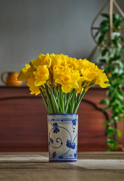 istock A bouquet of Daffodils 1501247501